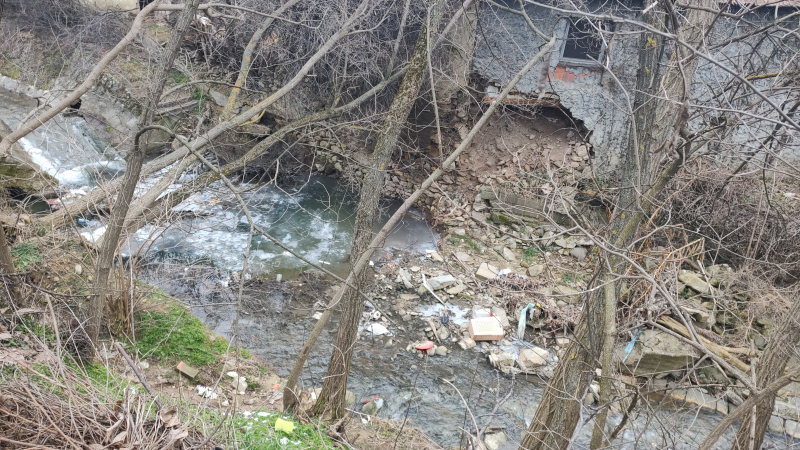 Foto: OK Radio, M.Spirić